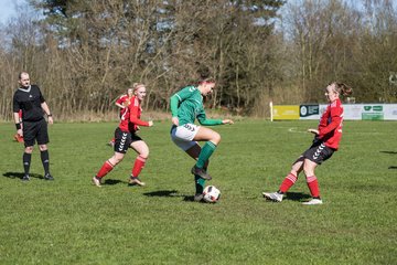 Bild 205 - F SG NieBar - IF Stjernen Flensborg : Ergebnis: 4:1